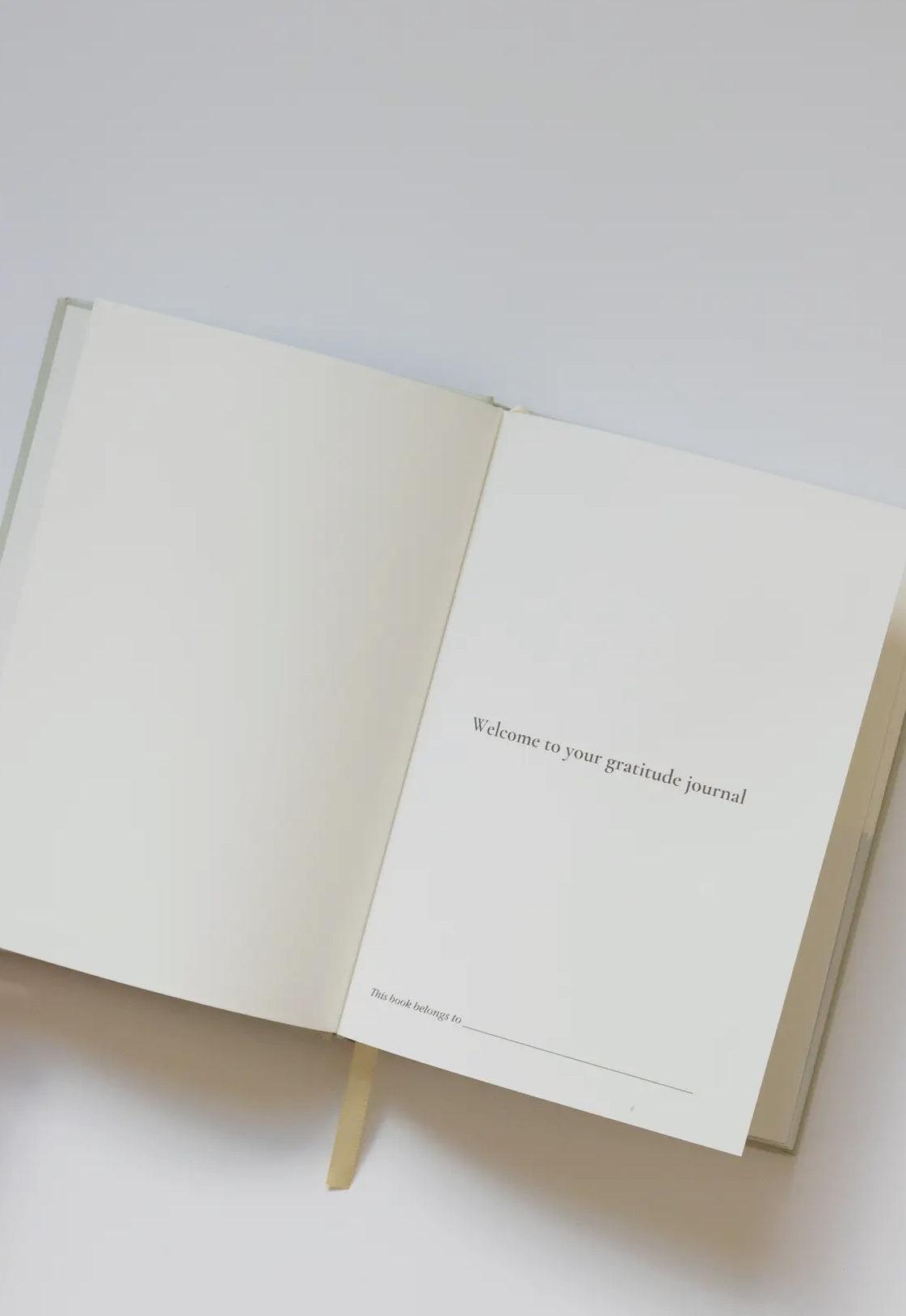 My Gratitude Journal